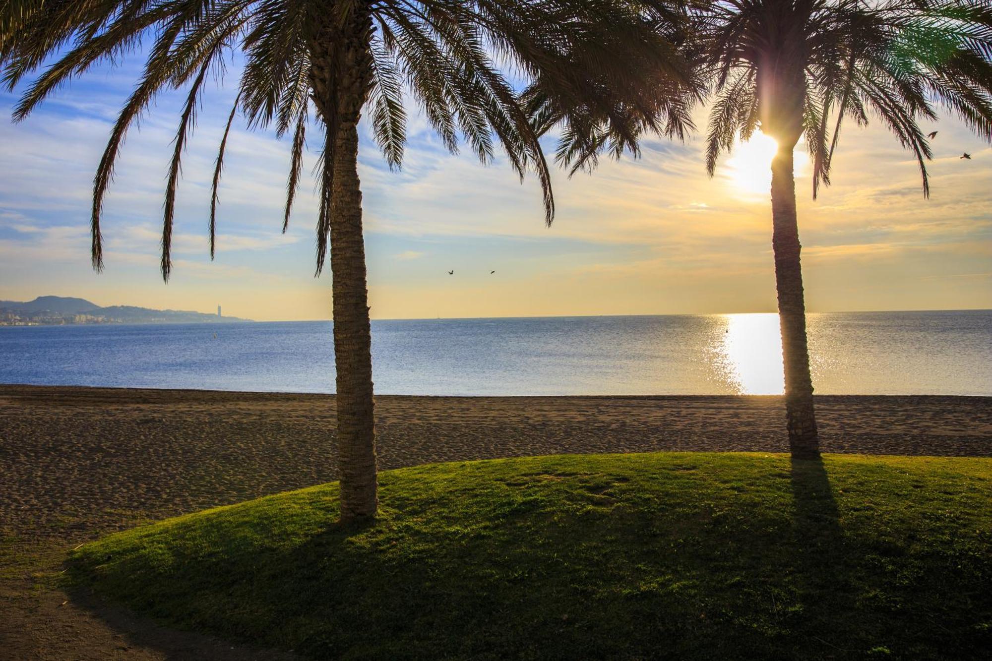 Estudio En Málaga Exteriör bild